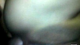 Top perverts pay big for anal nympho's face on xvideos
