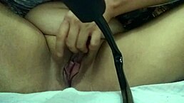 my little bat flies around the house chasing insects and playing with toys