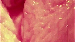 i loved those hairy vintage beauties giving blowjobs in my secret life