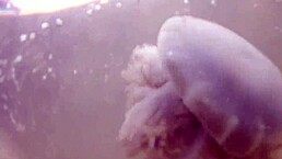 公共船上闪现大奶的狂野故事