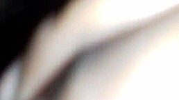 Sams Video Collection Sparks Curiosity