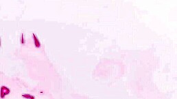 slutty wednesday just licked her feet and got her ass fucked hard