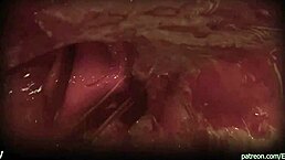 Pov experience with tall giantess using toys