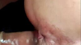 Coletania Performs a Double Act