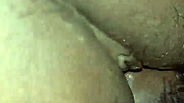 fucking my wife in the bedroom