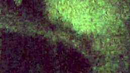 cumslut loves facial