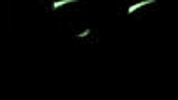 bubble butt latina trans strips bikini, toys ass, strokes monster cock