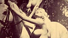 This content is currently on hold pending further review for older audience