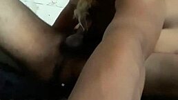 levou para construção e mandamos ver com transsexual