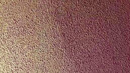 She Enjoys Big Black Cock Sucking