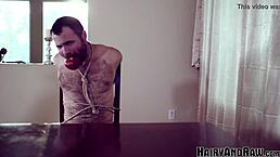 hairy gay studs bound and fucked rough with deepthroat 😈