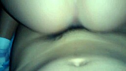 Oh, that peruvian in hotel is screaming while getting fucked!