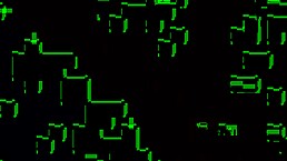 A La Gorda De Celedonia Le Encanta Chupar Mi Pija