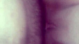 I love fucking my wife in Belém, Pará, feeling every thrust in her amateur body