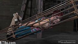 Amateurs engage in sadomasochism with whips and chains.