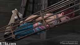 Amateurs engage in sadomasochism with whips and chains.