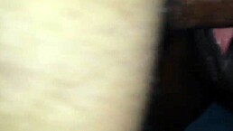 Amateur wife bent over for doggystyle fucking with wet pussy 😈