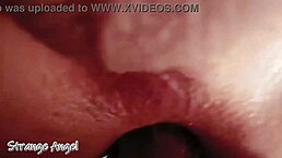 curvy gay ass gets filled by hot sperm closeup