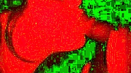 argentinian amateurs perform blowjob under red light.