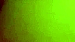 I Passionately Pound My Wife In Doggy Style Position