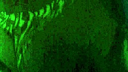 Want to see this amateur creampie action up close?