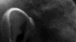 i'm vhucking that nasty asshole so hard it feels amazing