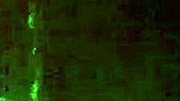 Want to see this amateur creampie action up close?