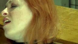 Bella vendetta and shiva engage in revenge lesbian bdsm with toys