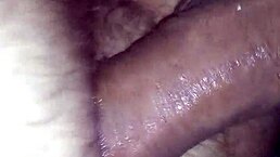 Kamilly Campos Gozei No Cu Do Cara