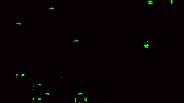 Home Prostitution Fun!