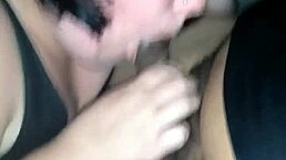 Wife Sucking My Hard Cock