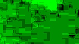 Do you want me to suck your cock, pendejo?