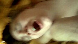 Jessica takes it doggystyle again, so rough! 😈