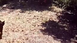 Latino Shemale's Monster Cock: Surprise Or Delight?