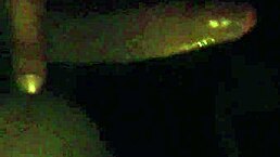 i'm getting head from this sexy latina in the car, it feels so good