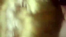 Short And Delicious Videos