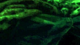 Imagine A Strong Handjob In A Public Outdoor Setting?