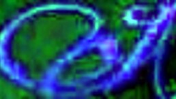 Rebel riot presents gia lovely in solo dildo masturbation