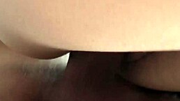 rough fucking a bitch by the window in homemade scene