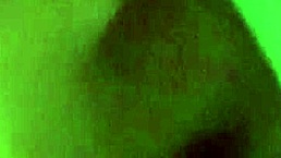 Biggwest explores reality with a focus on pussy