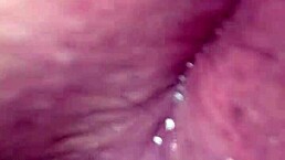 comendo o cu da morena sexy anal teen