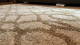 why is mandy mynxx sucking on the couch with her feet involved?