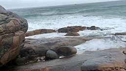 Want to fuck with monster cock on a deserted trail?