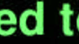 Cumming On The Ass Of The Slut In POV.