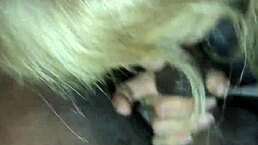 Feeling The Passion In This Intimate Blowjob Scene.