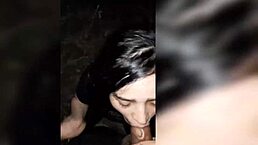 my friends and i went for a walk and offered blowjobs