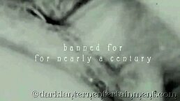 dark lantern entertainment presents camille from my secret life the erotic confessions of a victorian english gentleman