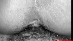 Kitchen fuck with teasing hostess ends in ass cumshot