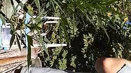 hot suck and fuck in the 420 patch