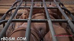 The Boxed Up Cutie Feels Intense Domination In This Hardcore Bdsm Contest